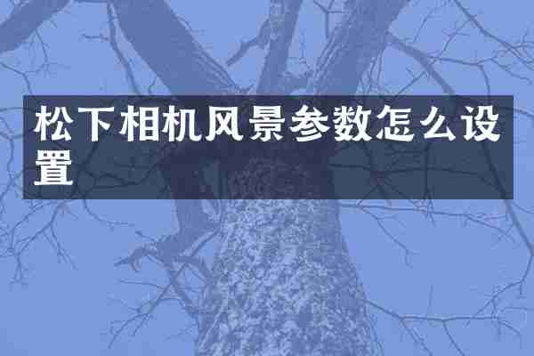 松下相机风景参数怎么设置