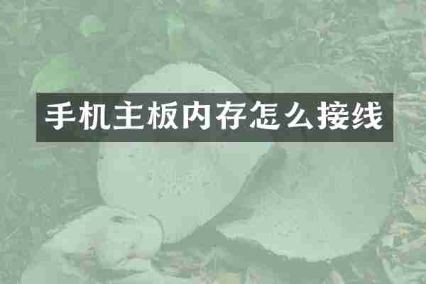 手机主板内存怎么接线