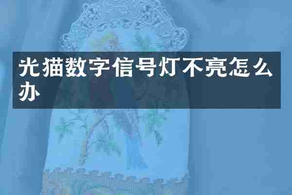 光猫数字信号灯不亮怎么办