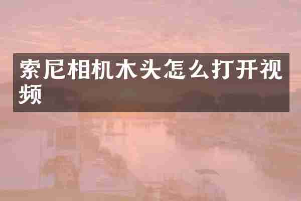 索尼相机木头怎么打开视频