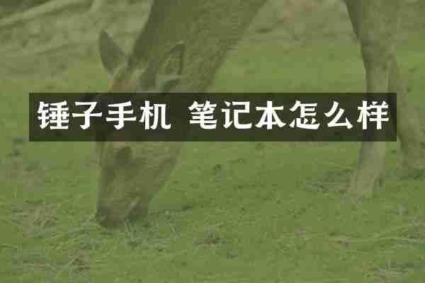 锤子手机 笔记本怎么样