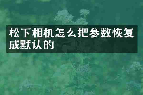 松下相机怎么把参数恢复成默认的