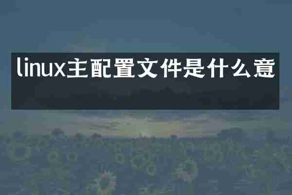 linux主配置文件是什么意思