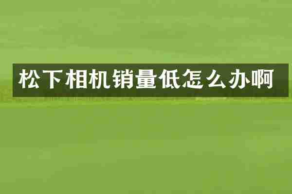 松下相机销量低怎么办啊