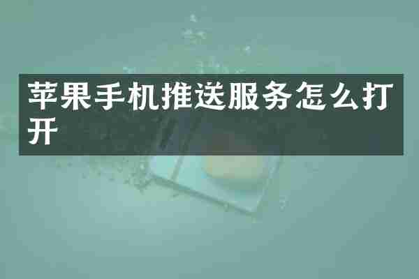 苹果手机推送服务怎么打开