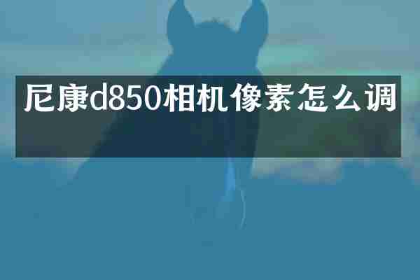 尼康d850相机像素怎么调整