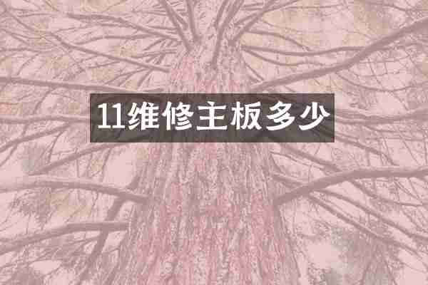 11维修主板多少