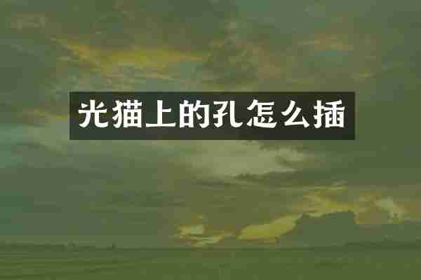 光猫上的孔怎么插