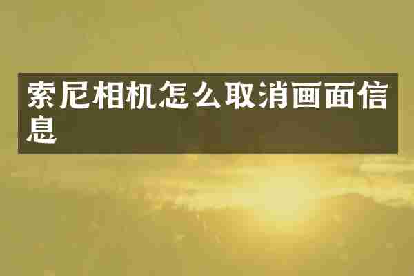 索尼相机怎么取消画面信息