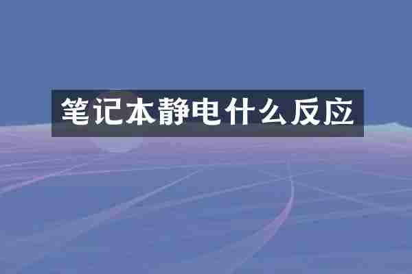 笔记本静电什么反应
