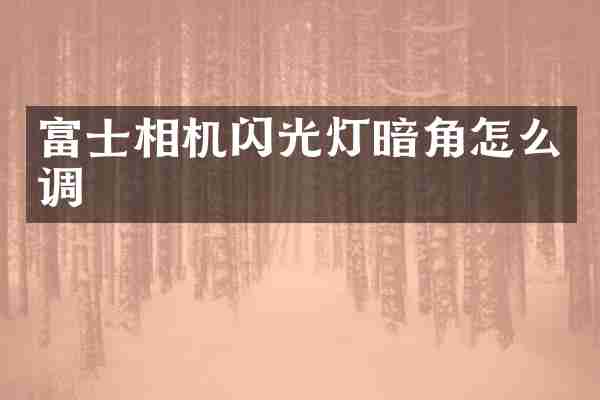 富士相机闪光灯暗角怎么调