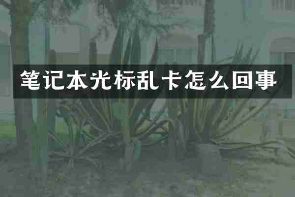 笔记本光标乱卡怎么回事