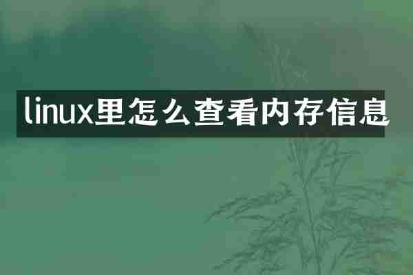 linux里怎么查看内存信息
