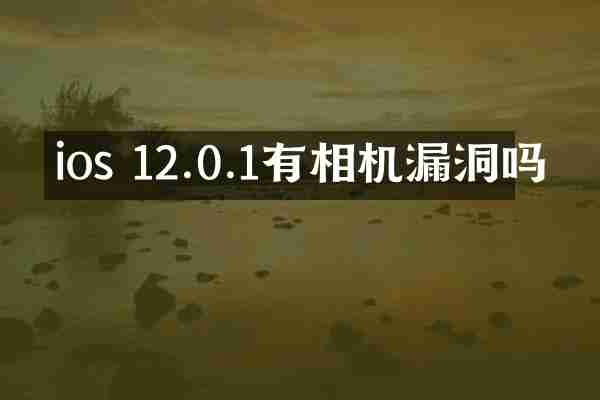 ios 12.0.1有相机漏洞吗