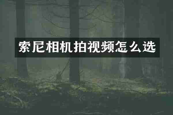 索尼相机拍视频怎么选
