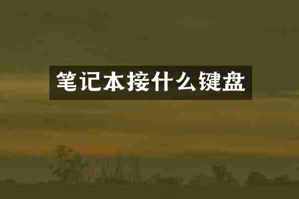 笔记本接什么键盘