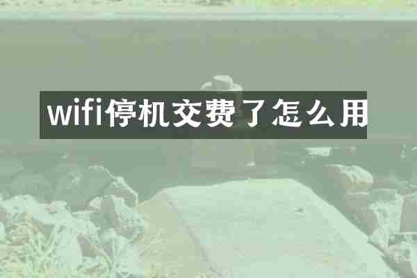 wifi停机交费了怎么用