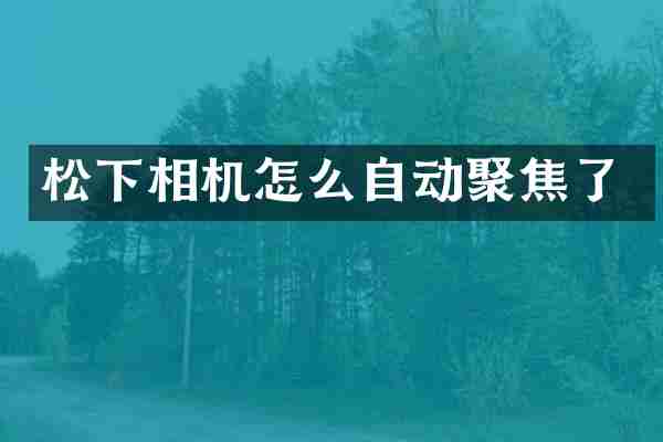 松下相机怎么自动聚焦了