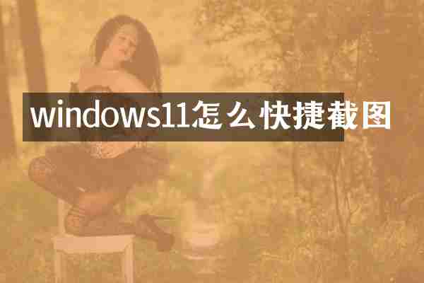windows11怎么快捷截图