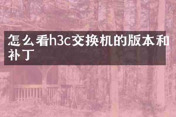 怎么看h3c交换机的版本和补丁