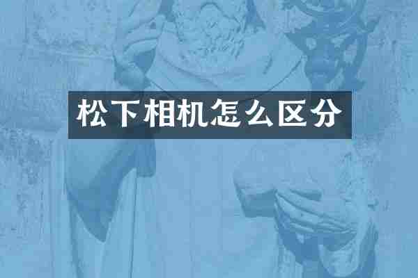 松下相机怎么区分