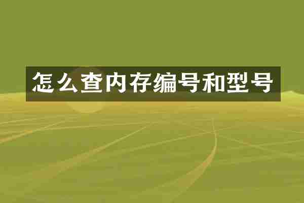 怎么查内存编号和型号