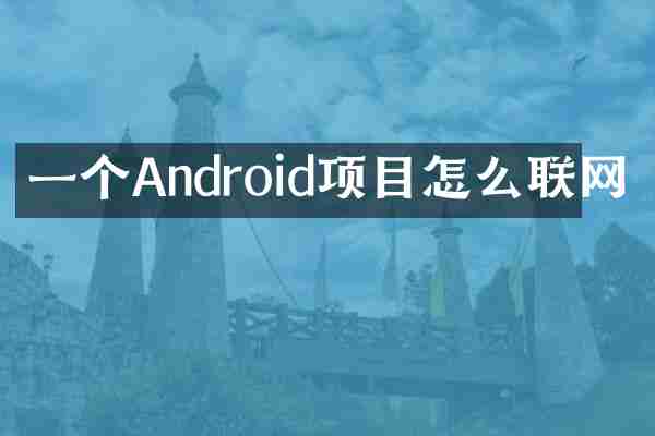 一个Android项目怎么联网