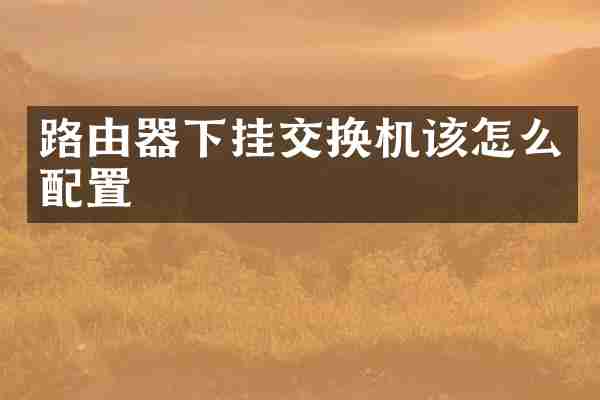 路由器下挂交换机该怎么配置