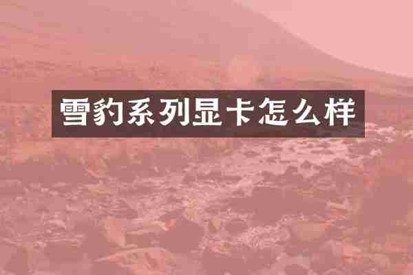 雪豹系列显卡怎么样