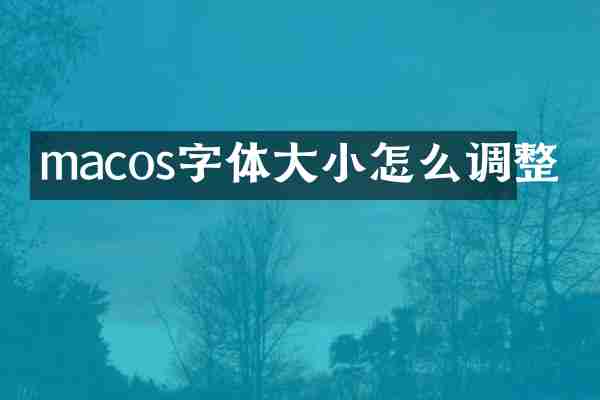 macos字体大小怎么调整