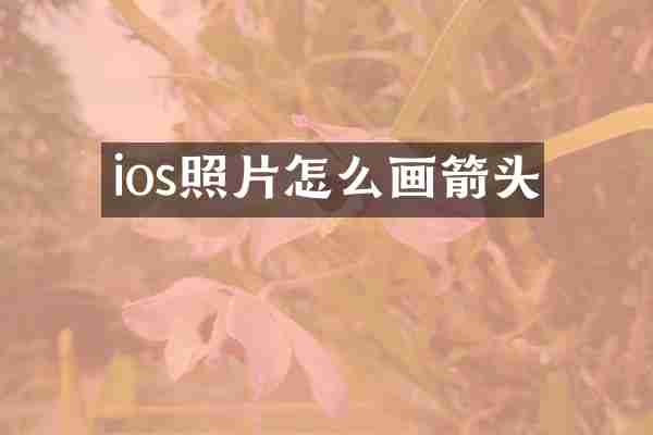 ios照片怎么画箭头