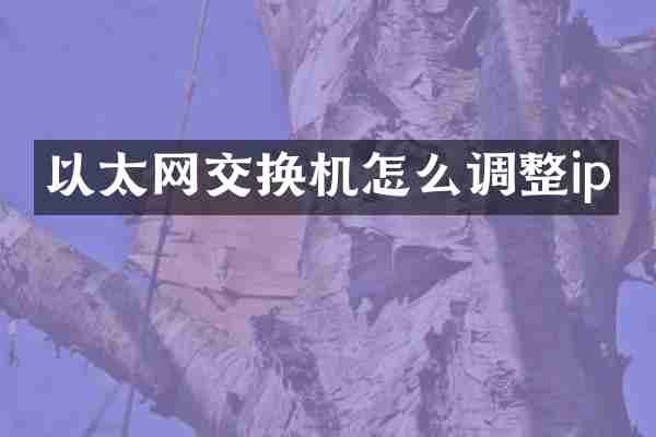以太网交换机怎么调整ip