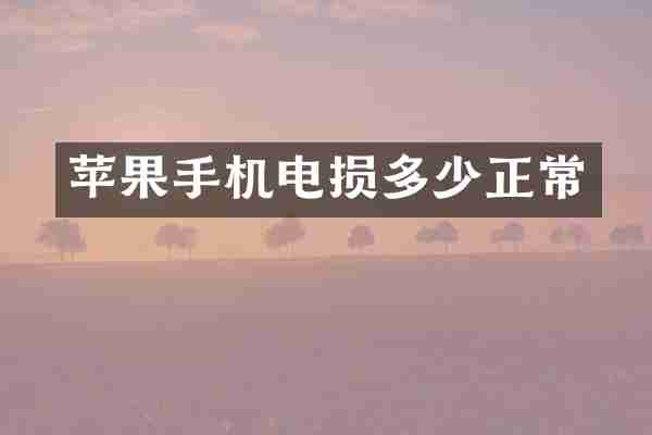 苹果手机电损多少正常