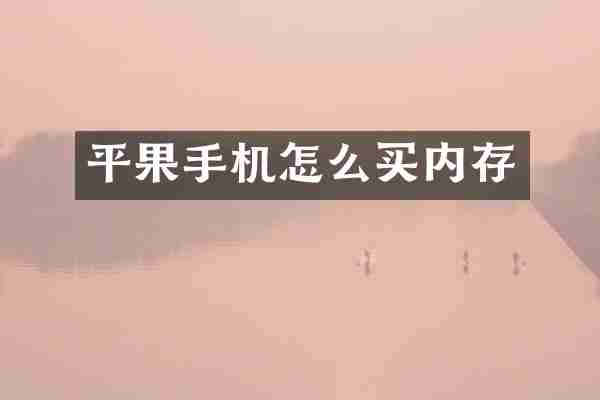 平果手机怎么买内存