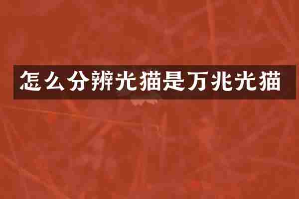 怎么分辨光猫是万兆光猫