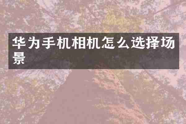 华为手机相机怎么选择场景