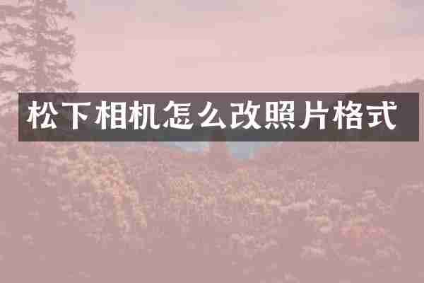 松下相机怎么改照片格式