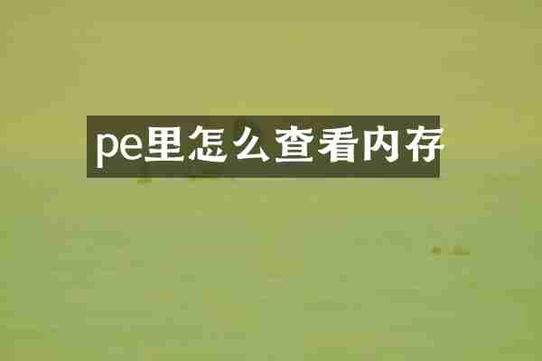 pe里怎么查看内存