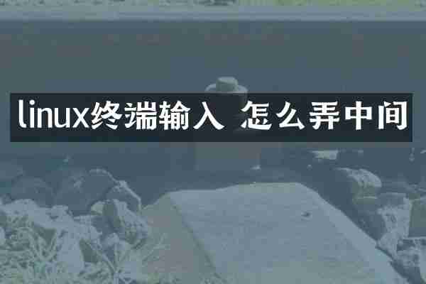 linux终端输入 怎么弄中间
