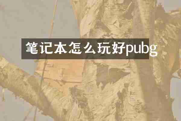 笔记本怎么玩好pubg