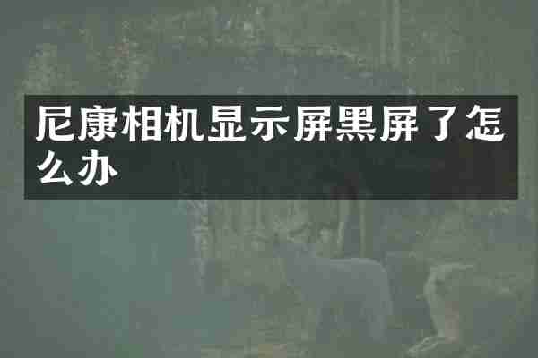 尼康相机显示屏黑屏了怎么办