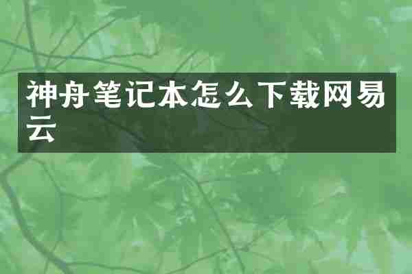 神舟笔记本怎么下载网易云