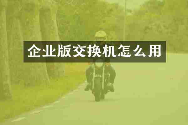 企业版交换机怎么用