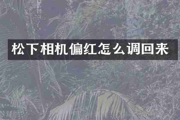 松下相机偏红怎么调回来