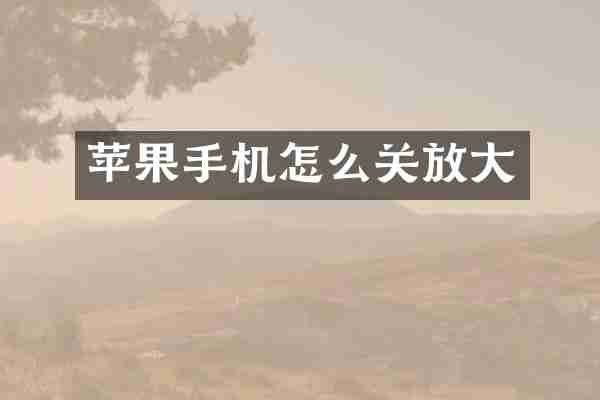 苹果手机怎么关放大