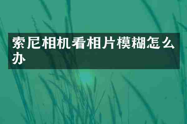 索尼相机看相片模糊怎么办