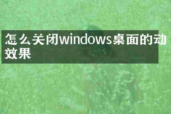 怎么关闭windows桌面的动画效果