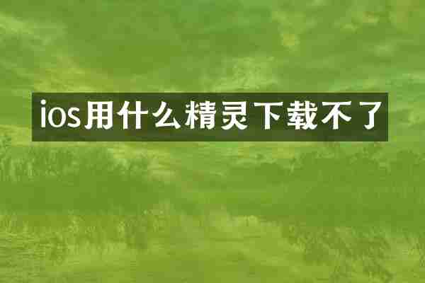 ios用什么精灵下载不了