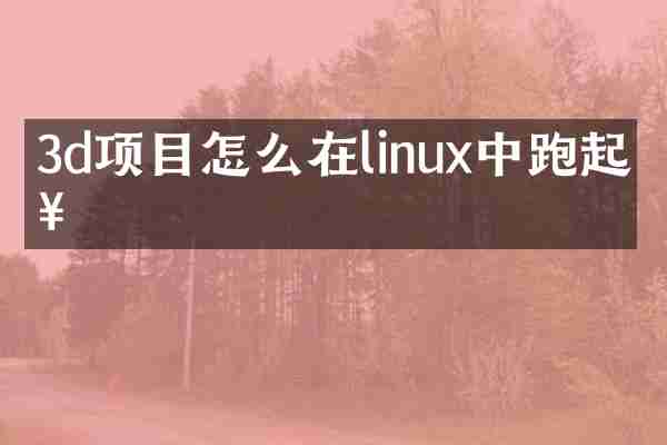 3d项目怎么在linux中跑起来