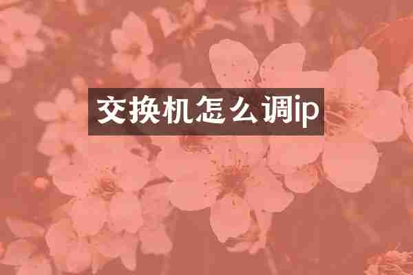 交换机怎么调ip